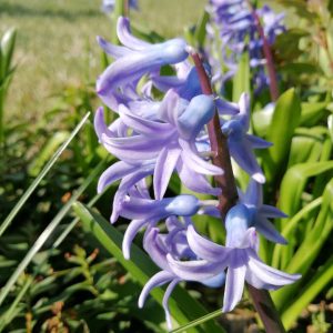 Meditacija: Čiščenje Endokrinega Sistema, Hormonsko Ravnovesje