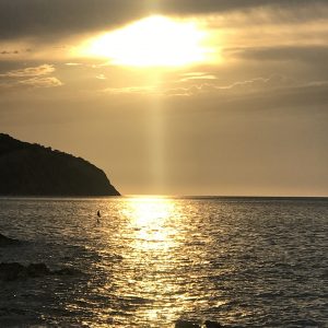 Meditacija: Transformacija Resonance in Novo Rojstvo