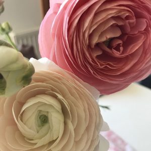 Meditacija: Dvig Vibracije in Zaščita