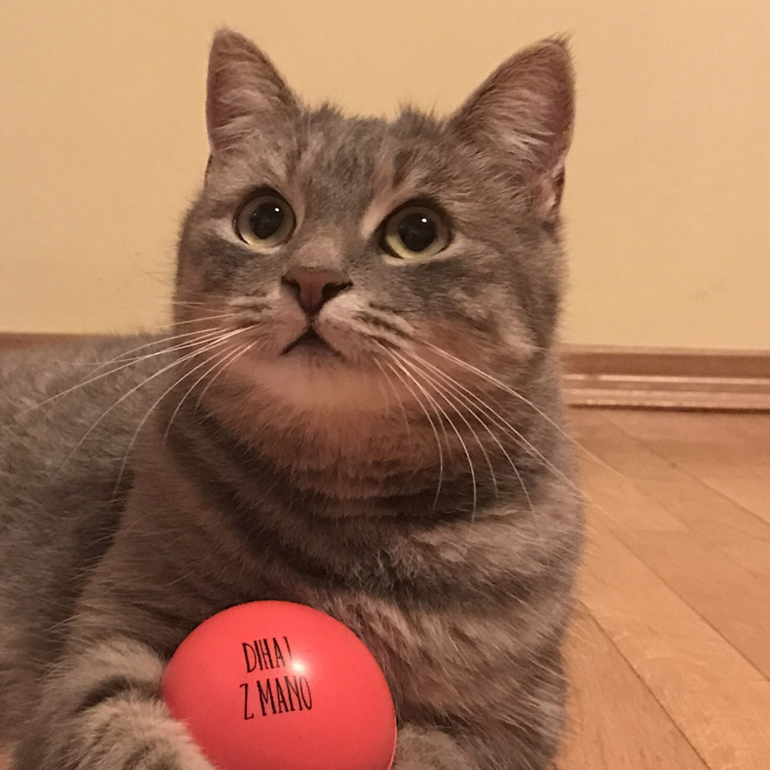 Meditacija: Stik z Nadzavestjo, Lastna Vrednost in Možgani