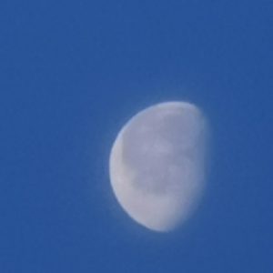 Meditacija: Opazovanje