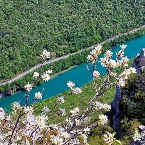 Meditacija: Samopodoba