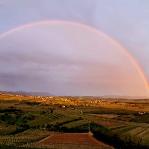 Meditacija: Nivojsko Čiščenje Programov